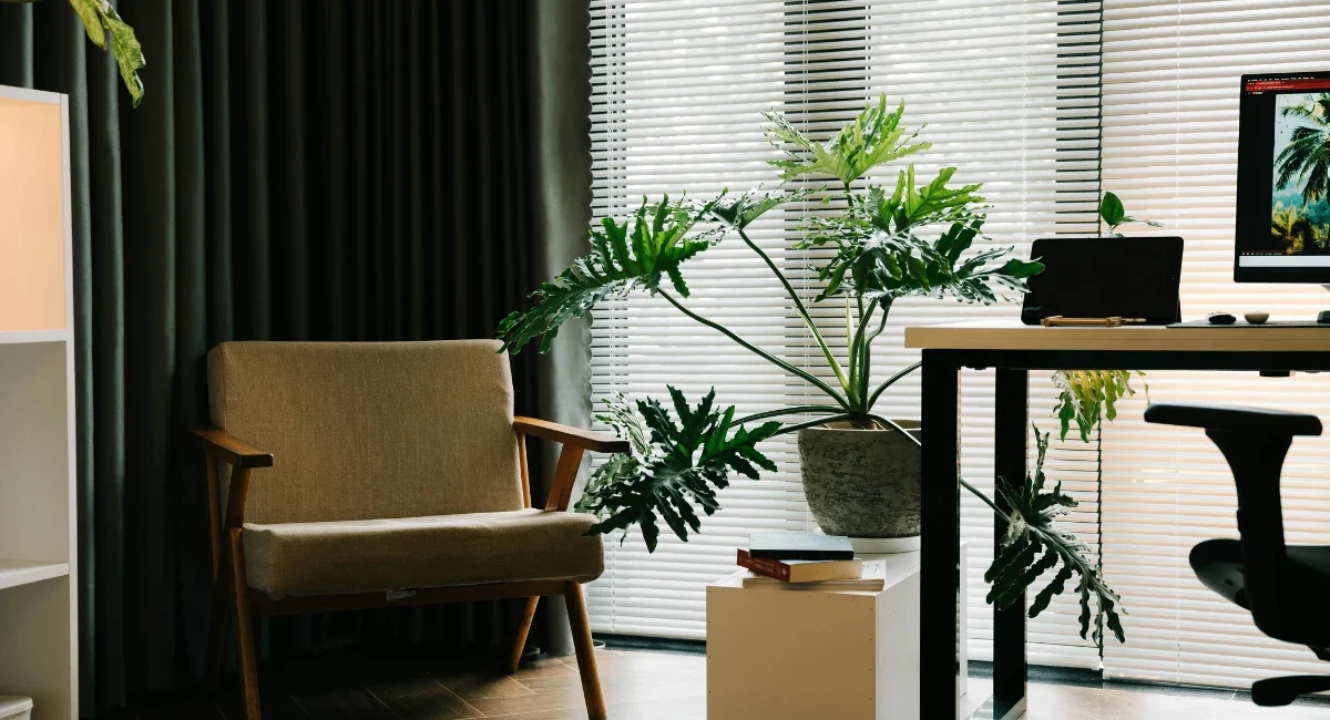 23 - Professional Cleaning Service in Dallas, TX by Lucenest Cleaning