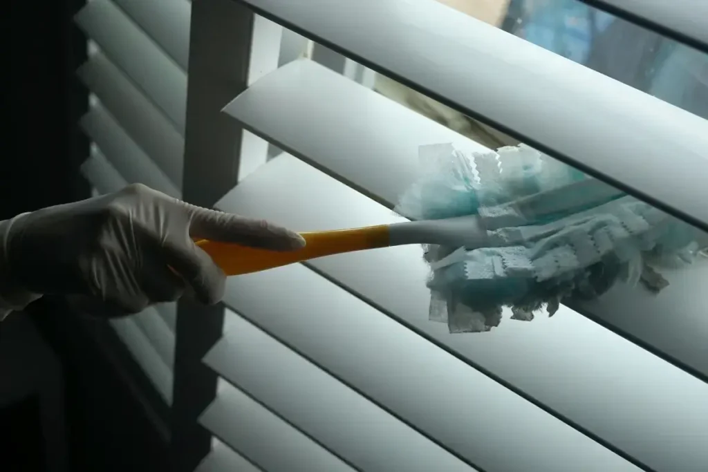 123 - Professional Cleaning Service in Dallas, TX by Lucenest Cleaning