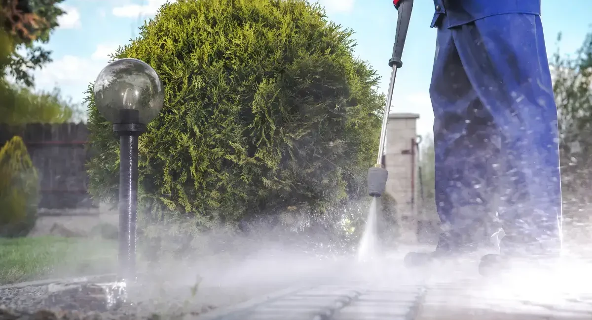 4 - Professional Cleaning Service in Dallas, TX by Lucenest Cleaning