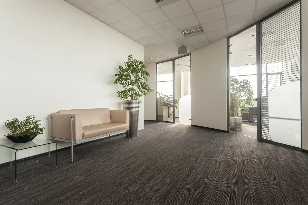 5 - Professional Cleaning Service in Dallas, TX by Lucenest Cleaning