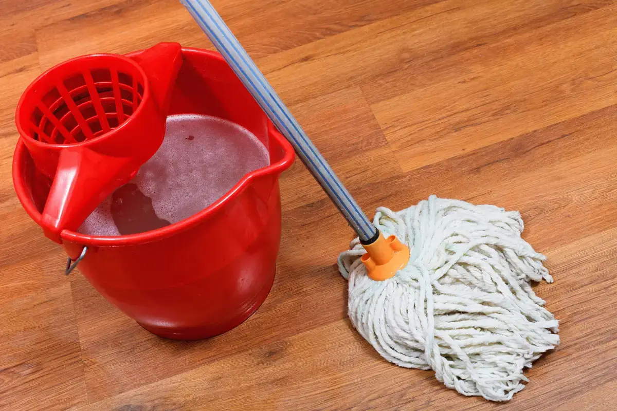 91 - Professional Cleaning Service in Dallas, TX by Lucenest Cleaning